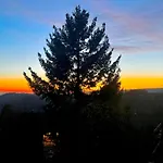 Auszeit Frueher Harz-momente Bruchberg *