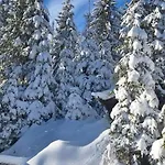 Appartement Auszeit Frueher Harz-momente Bruchberg