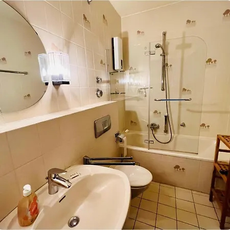 Auszeit Früher Harz-momente Bruchberg Apartment *