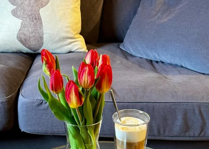 Auszeit Frueher Harz-momente Bruchberg *