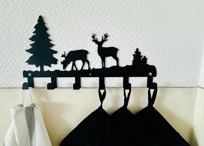 Auszeit Frueher Harz-momente Bruchberg 公寓