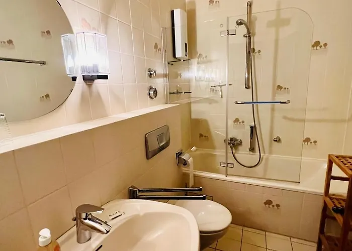 Auszeit Frueher Harz-momente Bruchberg Apartment *
