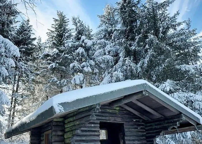 Auszeit Frueher Harz-momente Bruchberg