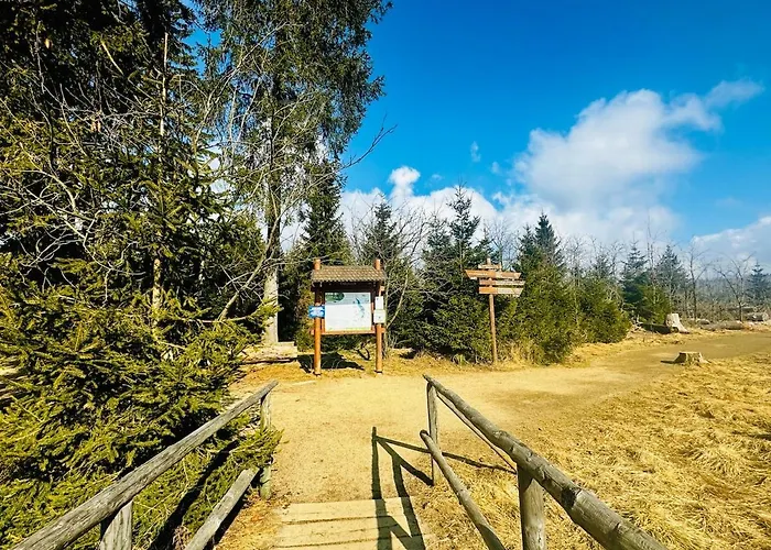 Auszeit Frueher Harz-momente Bruchberg * Sankt Andreasberg
