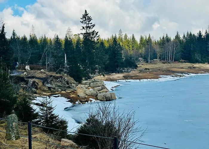 Auszeit Frueher Harz-momente Bruchberg 公寓 圣安德里斯伯格