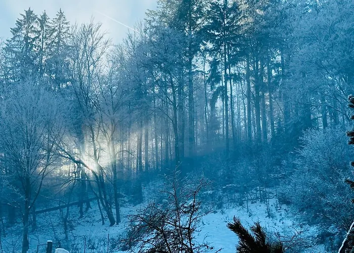 公寓 Auszeit Frueher Harz-momente Bruchberg *